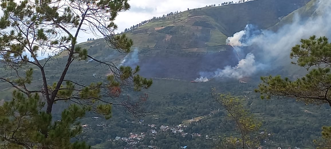 Kebakaran Hutan Terdeteksi di Titik Baru