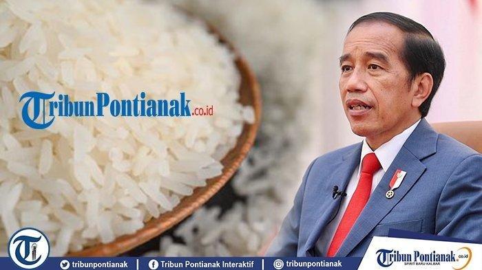 Menteri Jepang Mundur Usai Dihujat karena Bilang Tak Pernah Beli Beras Menteri Jepang Mundur Usai Bercanda Soal Beras