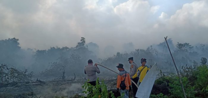 Kebakaran Hutan di Riau Berhasil Dipadamkan