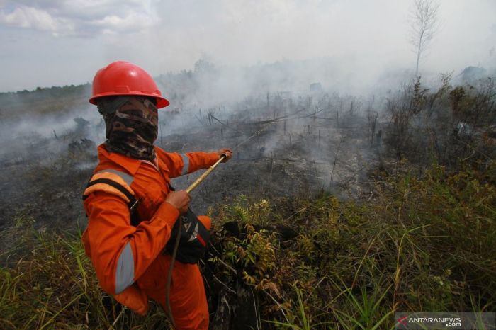 Kebakaran hutan dua sehari terjadi trenggalek