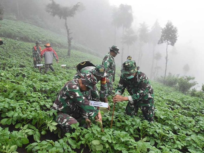 Program Reboisasi Nasional Capai 10 Ribu Hektar