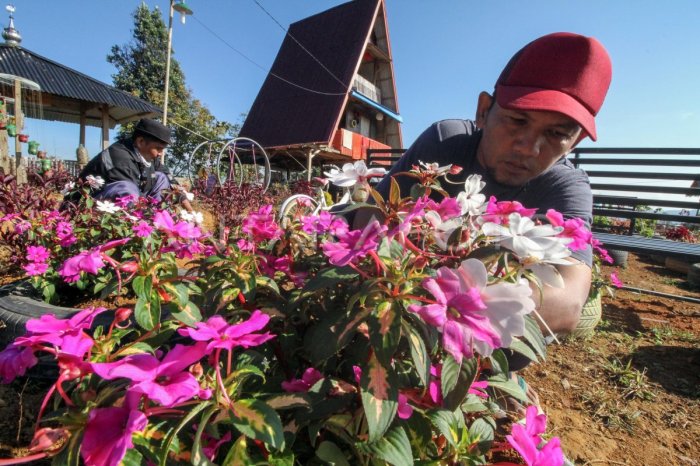 Cerita Inspiratif dari Daerah Tertinggal