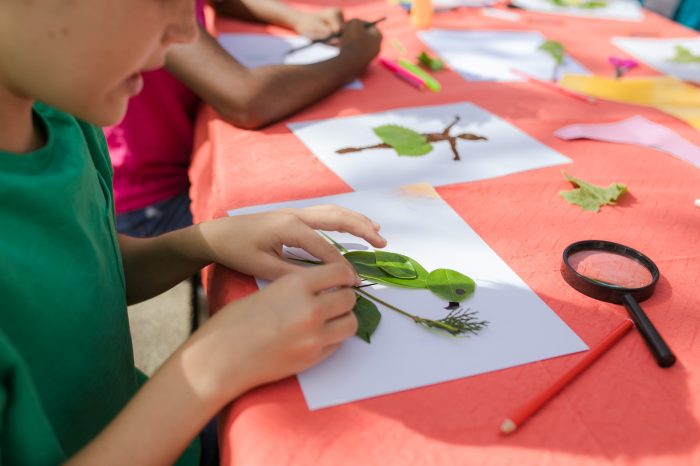 Metode Pembelajaran Kreatif untuk Anak Sekolah Dasar