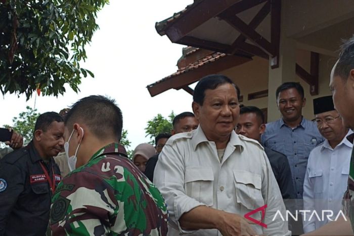 Gerindra Ungkap Alasan Prabowo Ambil Alih Isu Pulau Aceh
