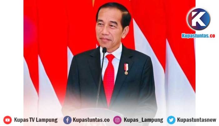 Ulang Tahun ke-64, Jokowi Dapat Ucapan Hangat dan Doa Sembuh